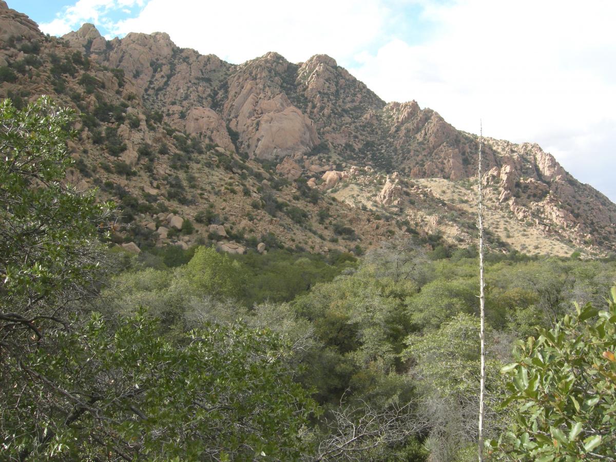  Cochise Stronghold, Dragoon Mountains, southeastern Arizona.